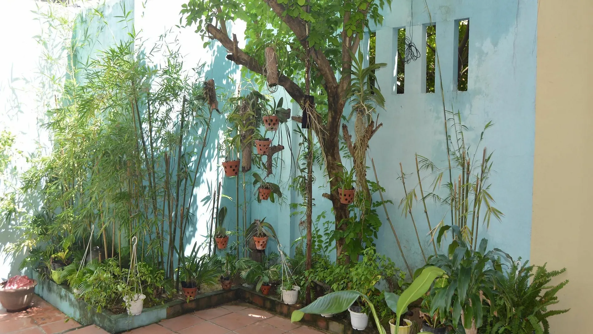 Orchids Homestay Hoi An Vietname