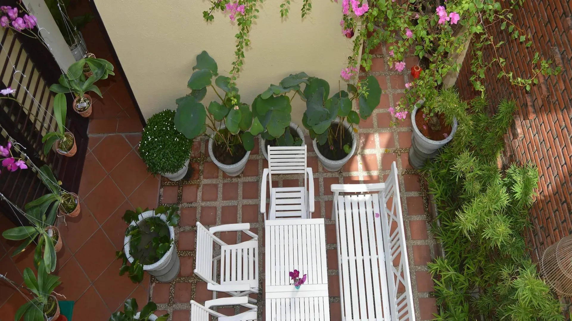 Orchids Homestay Hoi An