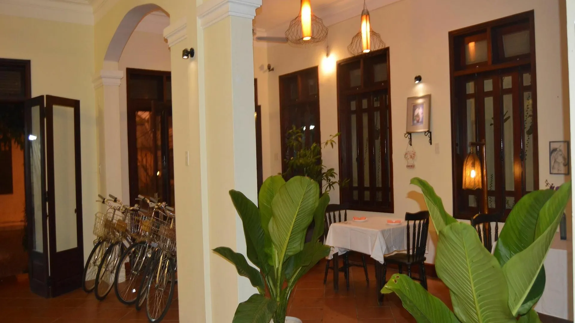 Orchids Homestay Хойан