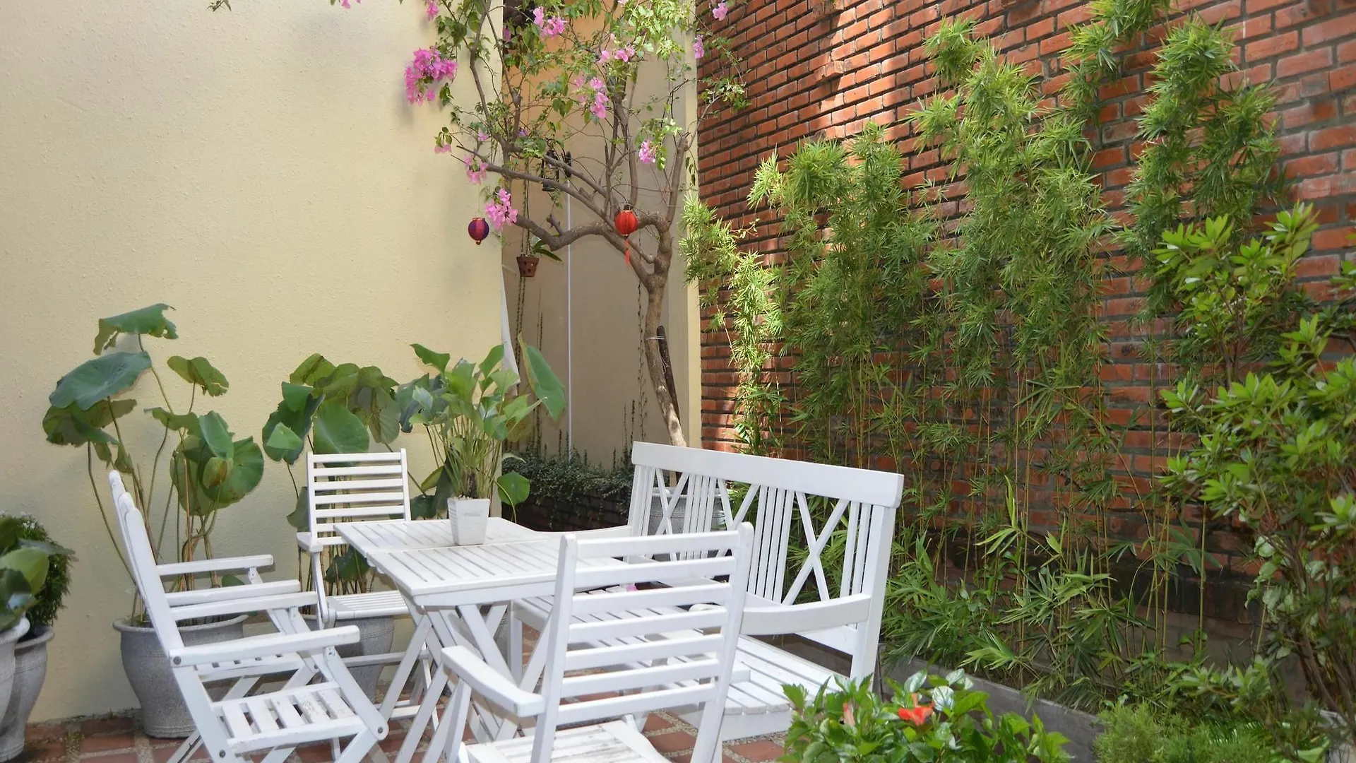 Orchids Homestay Хойан