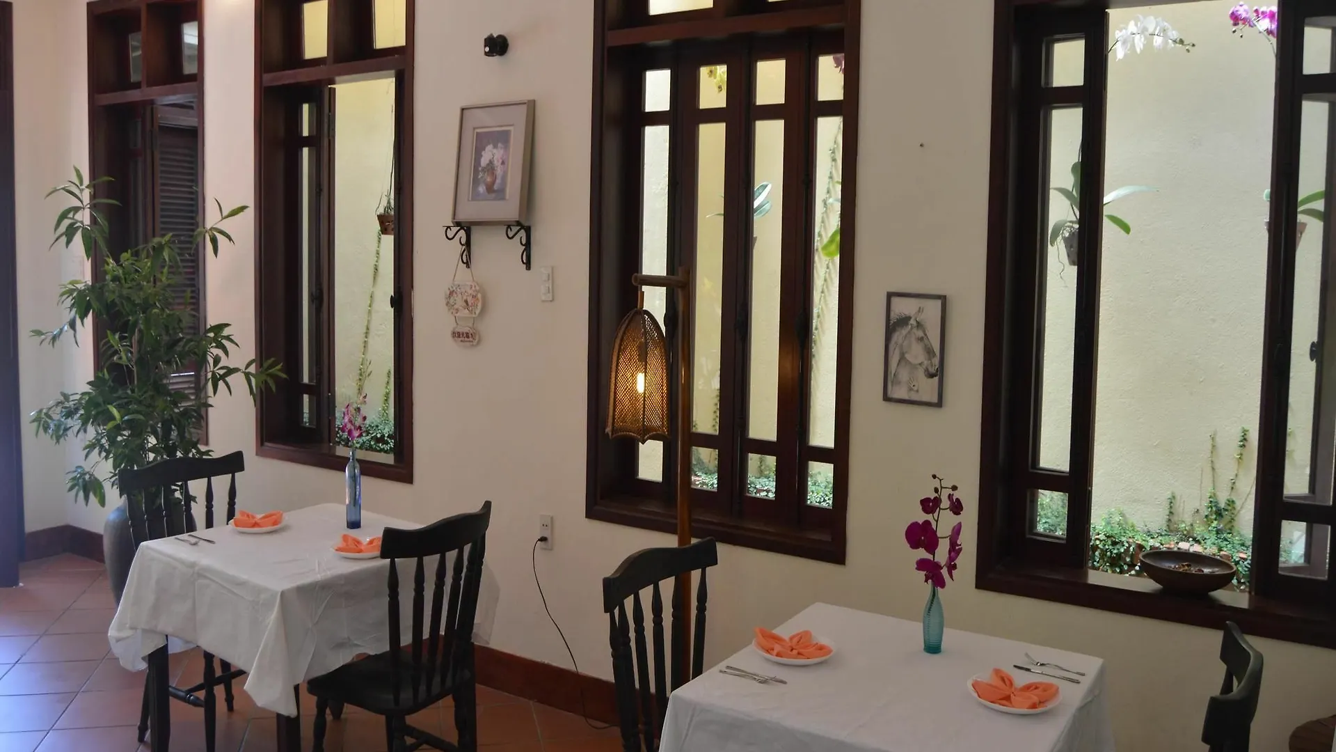 Orchids Homestay Хойан Вьетнам